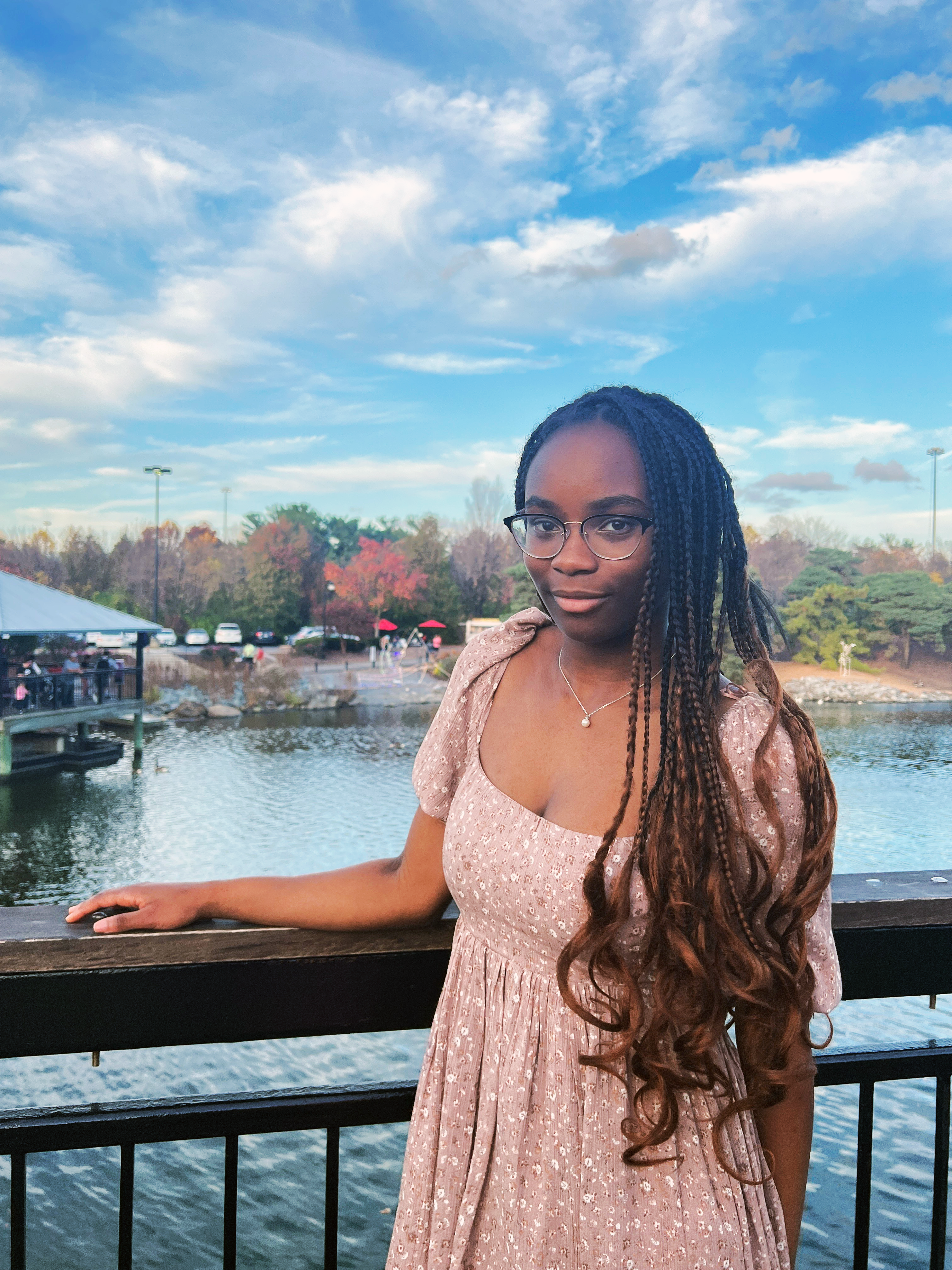 Fadekemi Laniyonu photo